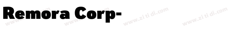 Remora Corp字体转换